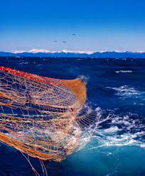 Trawl Nets